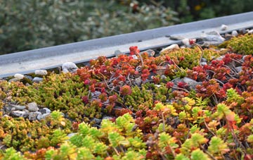the cost of Saracens Head green roof installation