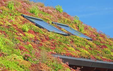 Saracens Head living roof systems
