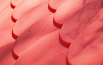 Saracens Head plastic roof costs